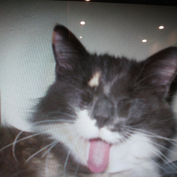 Meet your Posher, Linda - Picture 1 of 1